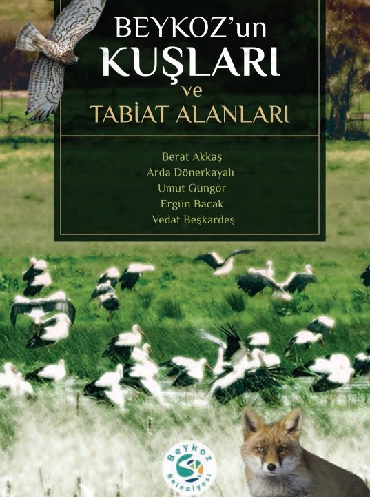 Kuş Cıvıltılarıyla Dolu “Beykoz’un Kuşları Ve Tabiat Alanları” Kitabı Çıktı