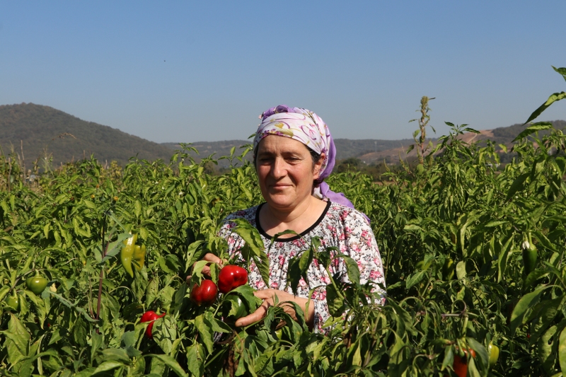 Beykoz’da Kent Tarımı Kadın Çiftçilerle Kalkınıyor
