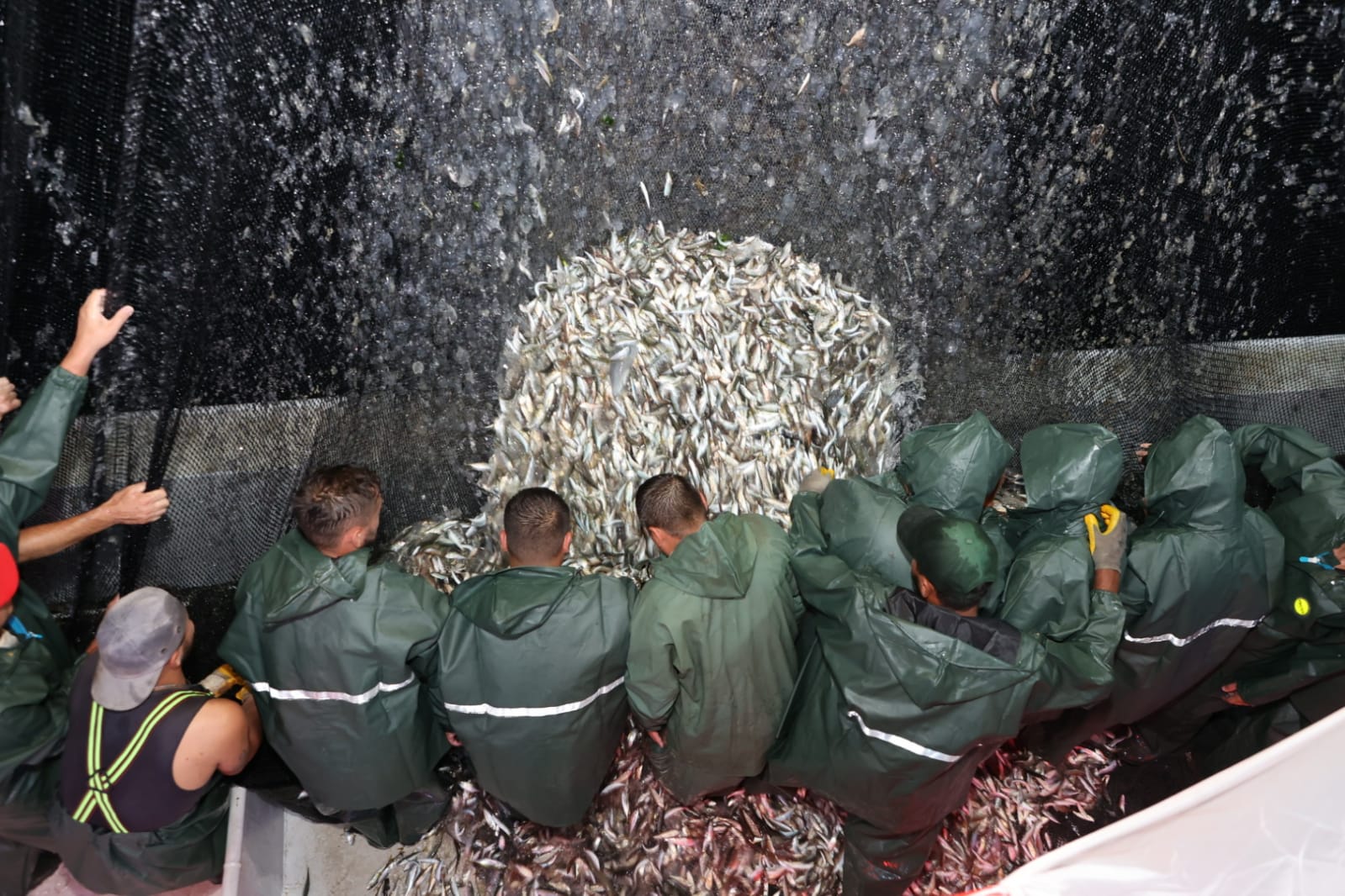 Balıkçılar Beykoz’da “Virabismillah” Dedi