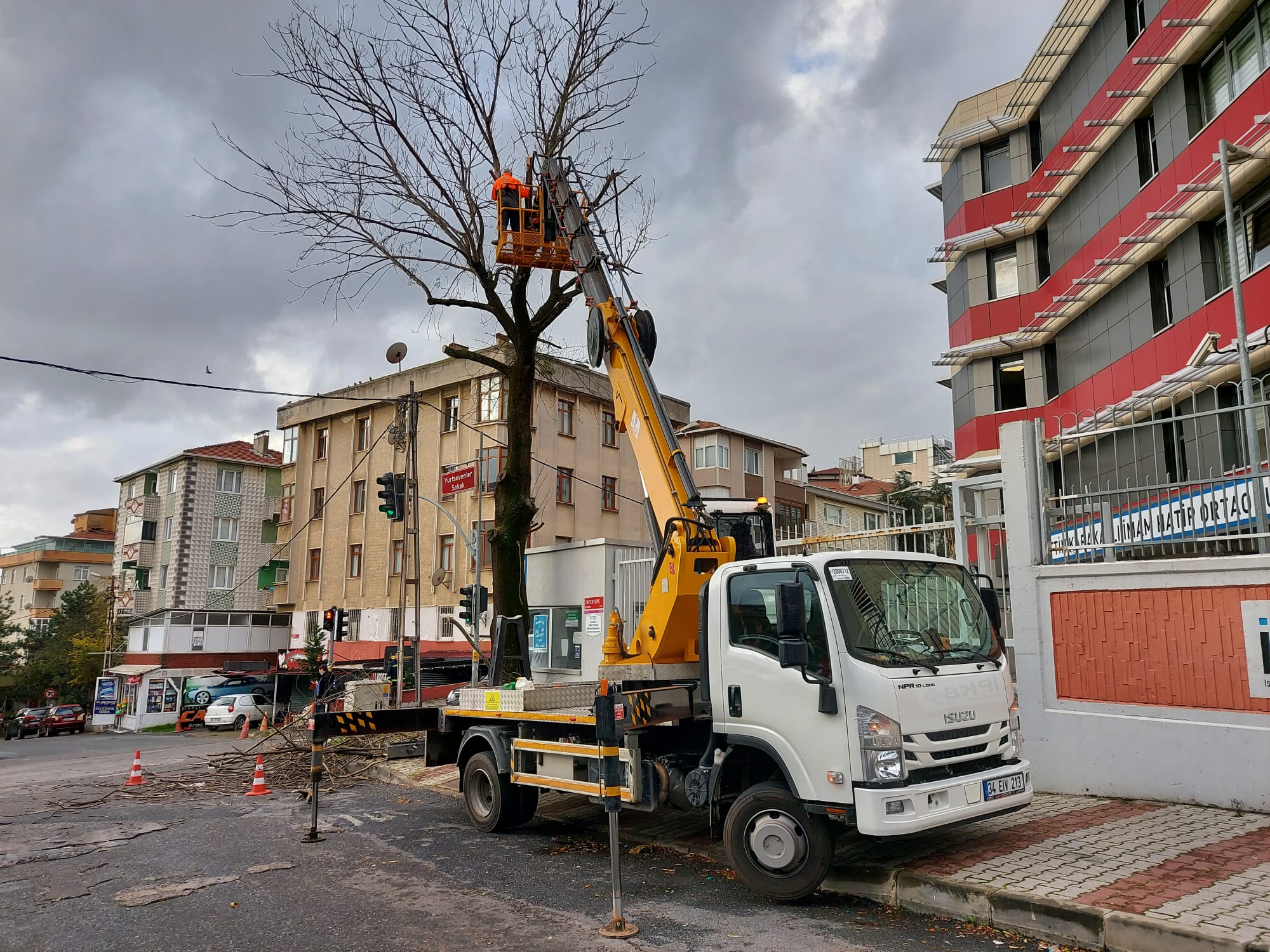 Beykoz’da Budama Mevsimi