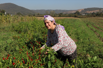 15 Ekim Dünya Kadın Çiftçiler Günü  (2).JPG