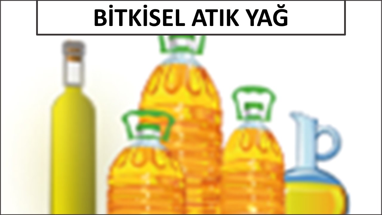 Bitkisel Atık Yağ cbs 2