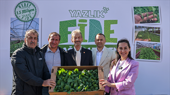 Beykoz Belediyesi’nden Çiftçiye 1 Milyon 50 Bin Yazlık Fide Desteği