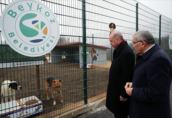 Cumhurbaşkanı Erdoğan Beykoz Hayvan Rehabilitasyon Merkezi’ni Ziyaret Etti